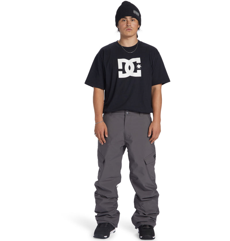 Load image into Gallery viewer, DC Men&#39;s Banshee Technical Snow Pants Magnet ADYTP03042-KZL0
