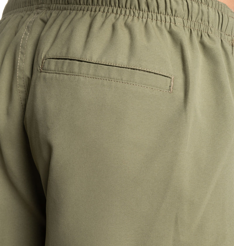 Load image into Gallery viewer, DC Men&#39;s Stryker 18&#39;&#39;Elastic Waist Walkshorts Deep Lichen Green ADYWS03079-TPC0
