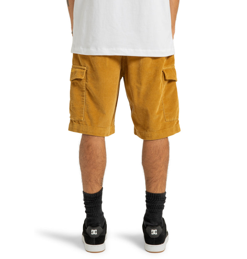Load image into Gallery viewer, DC Men&#39;s Pipeline 22.5&quot; Cargo Walkshorts Medal Bronze ADYWS03081_CMV0
