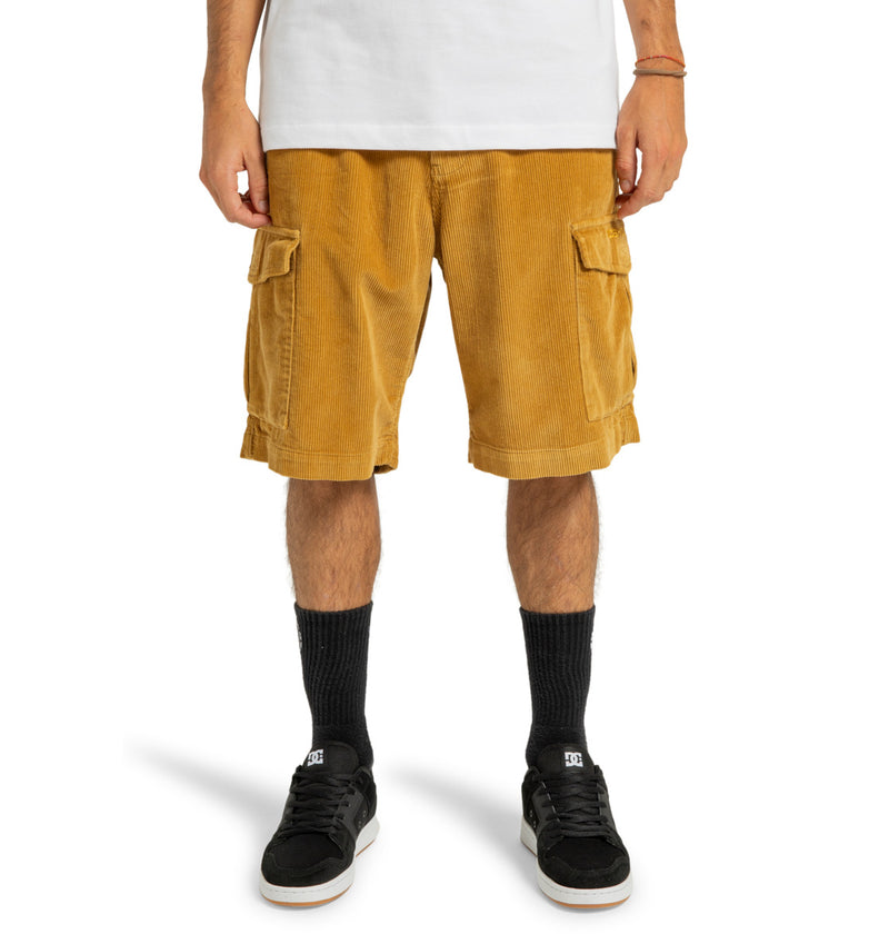 Load image into Gallery viewer, DC Men&#39;s Pipeline 22.5&quot; Cargo Walkshorts Medal Bronze ADYWS03081_CMV0
