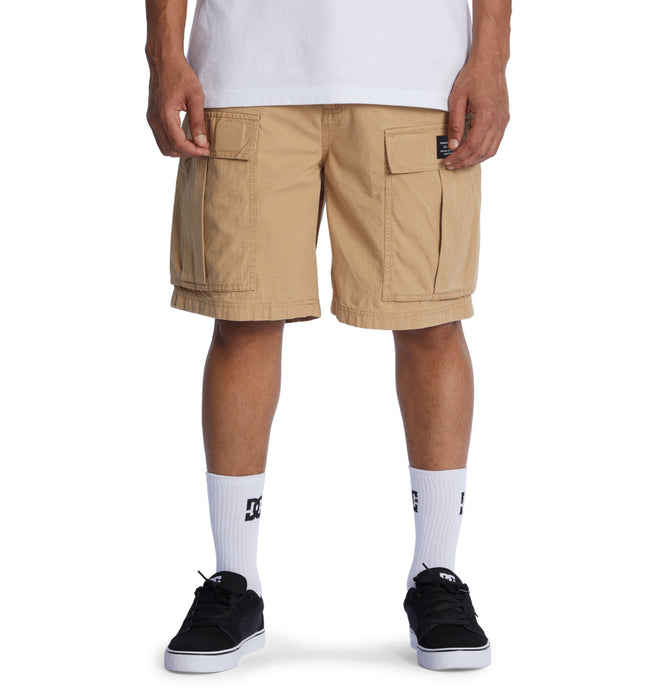 DC Men's Tundra Cargo Shorts Incence ADYWS03086-CJZ0