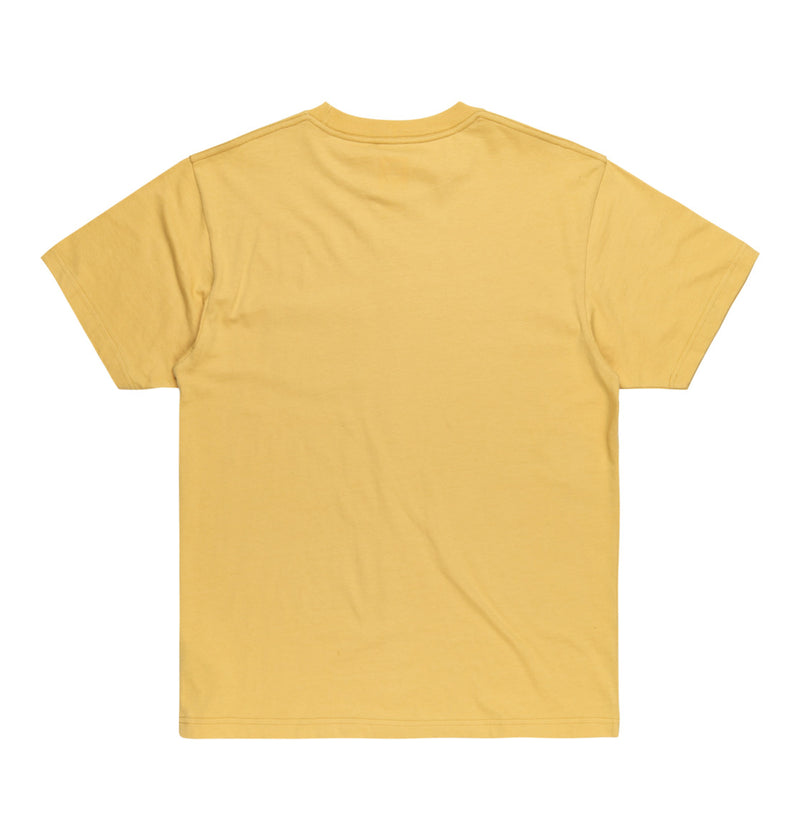 Load image into Gallery viewer, DC Men&#39;s Star Pocket T-Shirt Rattan ADYZT05377-XYYB
