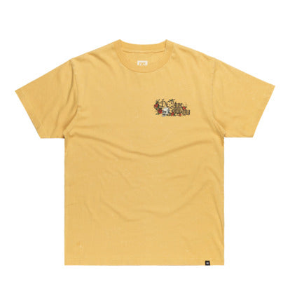 Load image into Gallery viewer, DC Men&#39;s Standoff T-Shirt Rattan Rain Wash ADYZT05460_YHPW
