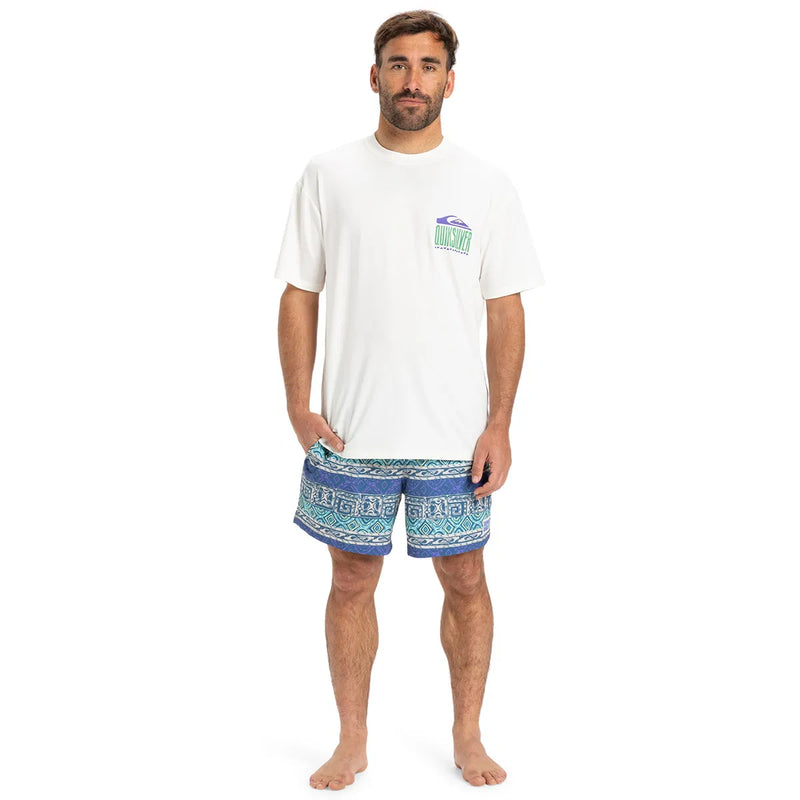 Load image into Gallery viewer, Quiksilver Men&#39;s Everyday Short Sleeve UPF 50 Surf T-Shirt White AQYWR03135-WBK0
