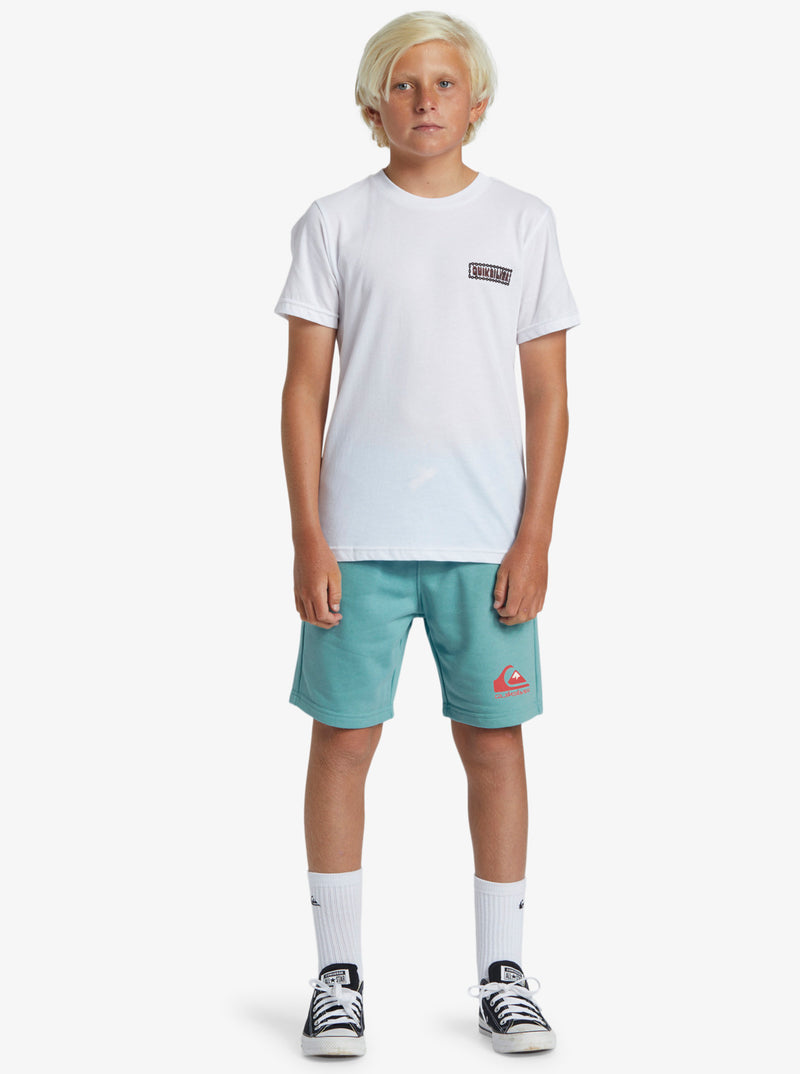 Load image into Gallery viewer, Quiksilver Kid&#39;s Easy Day Sweat Regular Straight Fit Shorts Marine Blue AQBFB03011-BHA0
