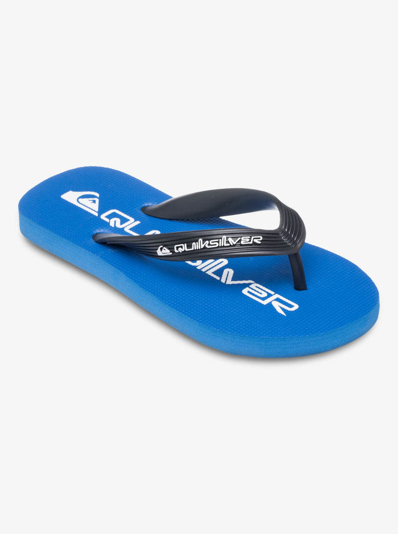 Load image into Gallery viewer, Quiksilver Kids&#39; Java Wordmark Flip Flops Blue AQBL100260-BYJ1
