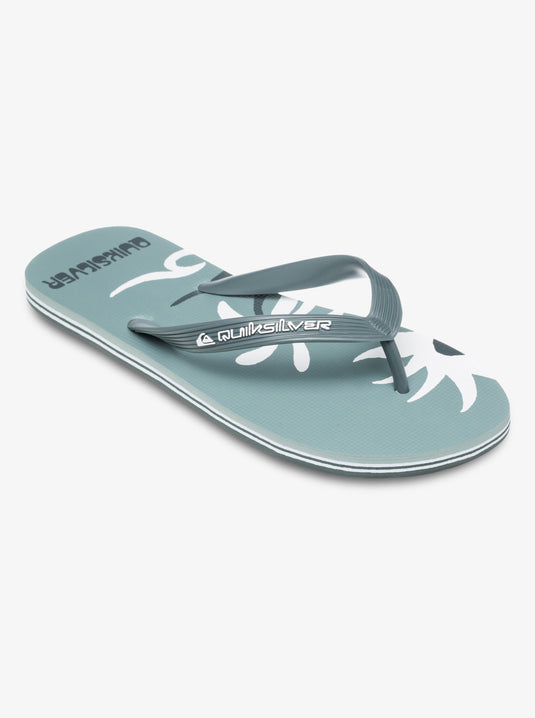 Quiksilver Men's Molokai Screen Flip Flops Sage AQYL101427-LTG