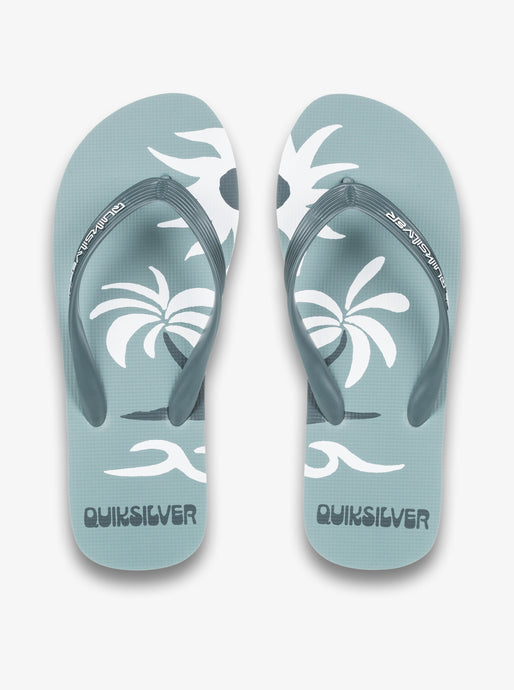 Quiksilver Men's Molokai Screen Flip Flops Sage AQYL101427-LTG