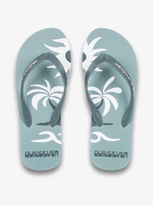 Quiksilver Men's Molokai Screen Flip Flops Sage AQYL101427-LTG
