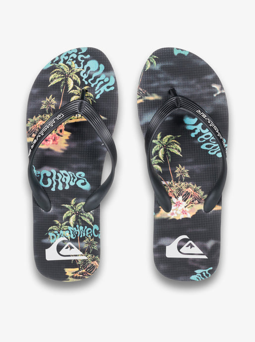 Quiksilver Men's Molokai Art 25 Flip Flops Black Naturama AQYL101430-KVJ6