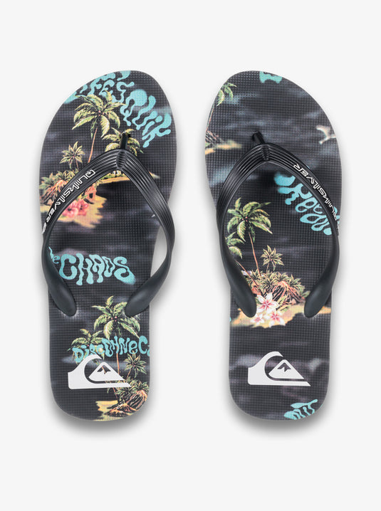 Quiksilver Men's Molokai Art 25 Flip Flops Black Naturama AQYL101430-KVJ6