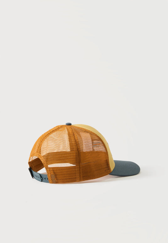 Patagonia Unisex P6 Logo Trucker Hat Lynx Tan 38289-LYTN