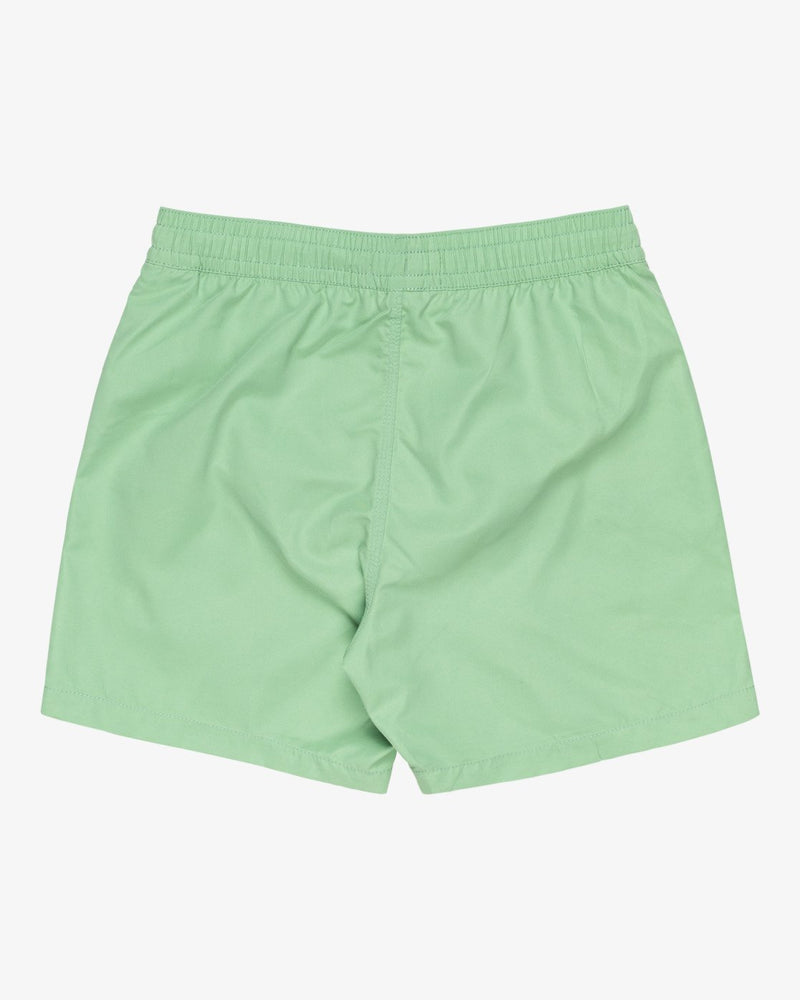 Load image into Gallery viewer, Billabong Kids&#39; All Day Layback Swim Shorts Sea Green EBBJV00115_GHH0
