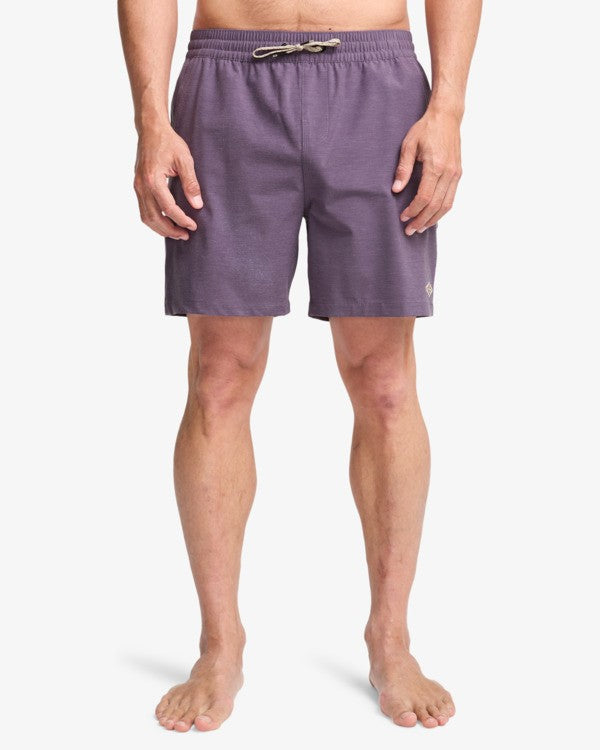Load image into Gallery viewer, Billabong Men's Every Other Day 17" Layback Swim Shorts Dusty Grape EBYJV00145-PPD0
