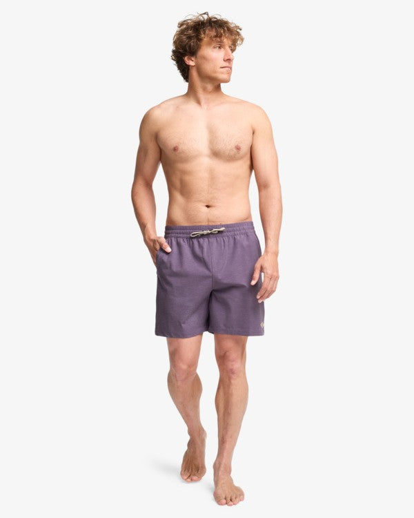 Load image into Gallery viewer, Billabong Men's Every Other Day 17" Layback Swim Shorts Dusty Grape EBYJV00145-PPD0
