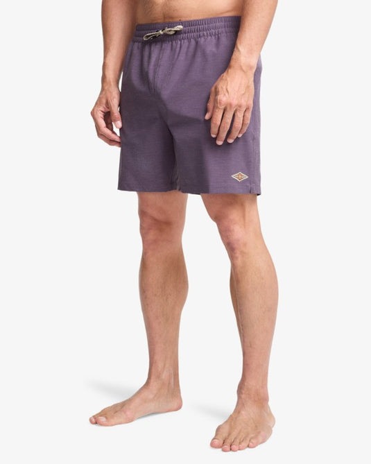 Billabong Men's Every Other Day 17" Layback Swim Shorts Dusty Grape EBYJV00145-PPD0