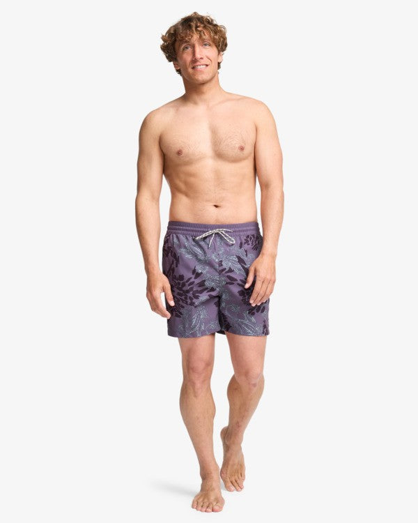 Load image into Gallery viewer, Billabong Men's Vacay Layback Boardshorts Steel Purple EBYJV00159-SNY1
