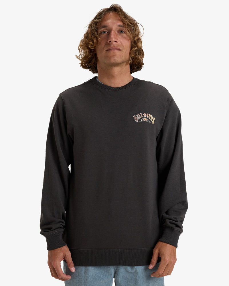 Load image into Gallery viewer, Billabong Men&#39;s Foundation Cr Pullover Sweatshirt Raven EBYSF00162_RAV
