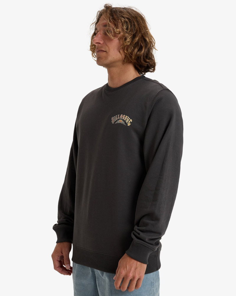 Load image into Gallery viewer, Billabong Men&#39;s Foundation Cr Pullover Sweatshirt Raven EBYSF00162_RAV
