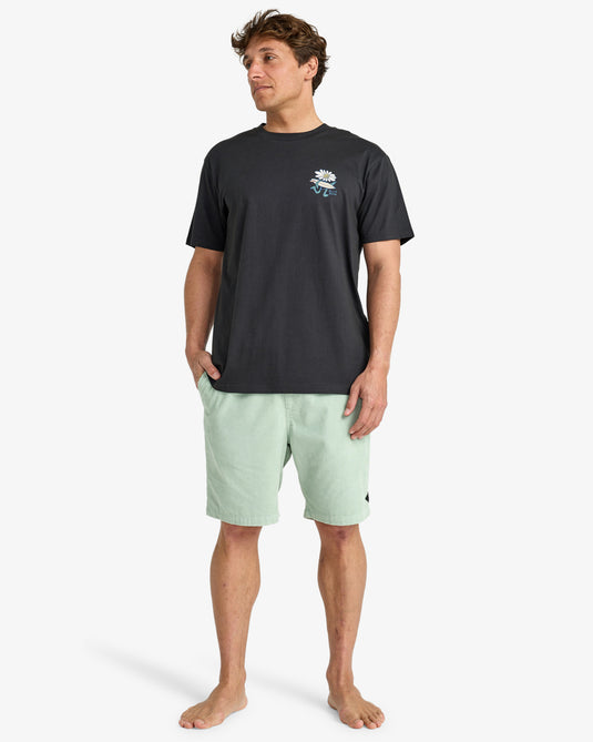 Billabong Men's Add Water T-Shirt Washed Black EBYZT00345-WAA