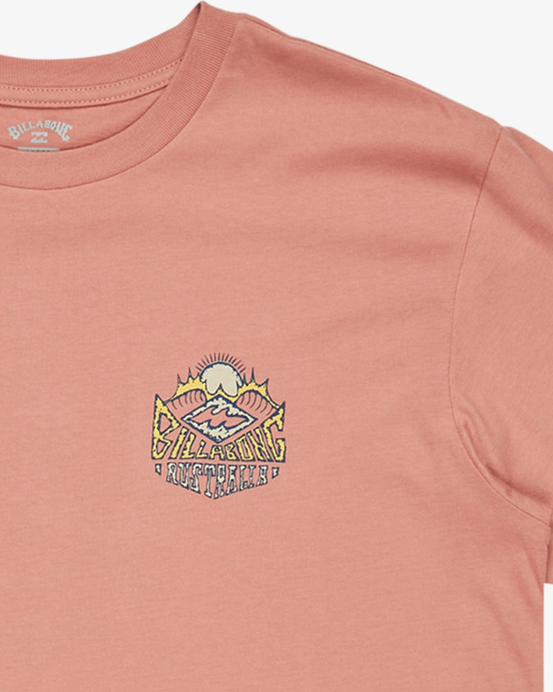 Load image into Gallery viewer, Billabong Men&#39;s Homegrown Screen Printed Short Sleeve T-Shirt Rose EBYZT00346-MKW0
