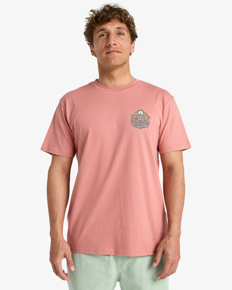 Load image into Gallery viewer, Billabong Men&#39;s Homegrown Screen Printed Short Sleeve T-Shirt Rose EBYZT00346-MKW0
