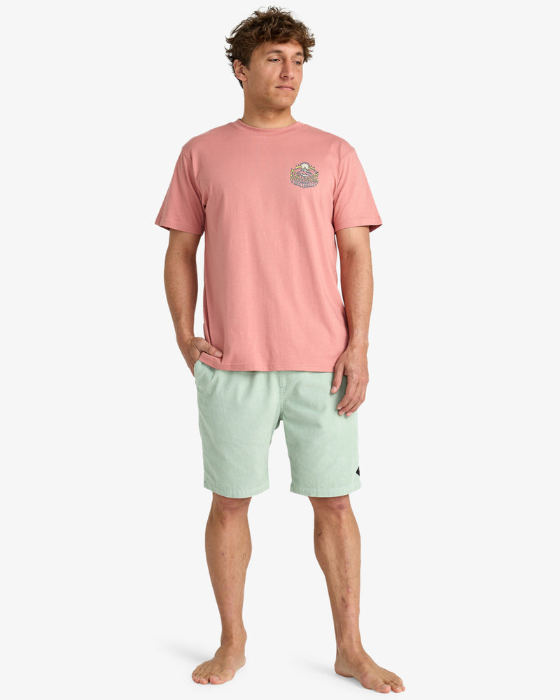 Load image into Gallery viewer, Billabong Men&#39;s Homegrown Screen Printed Short Sleeve T-Shirt Rose EBYZT00346-MKW0
