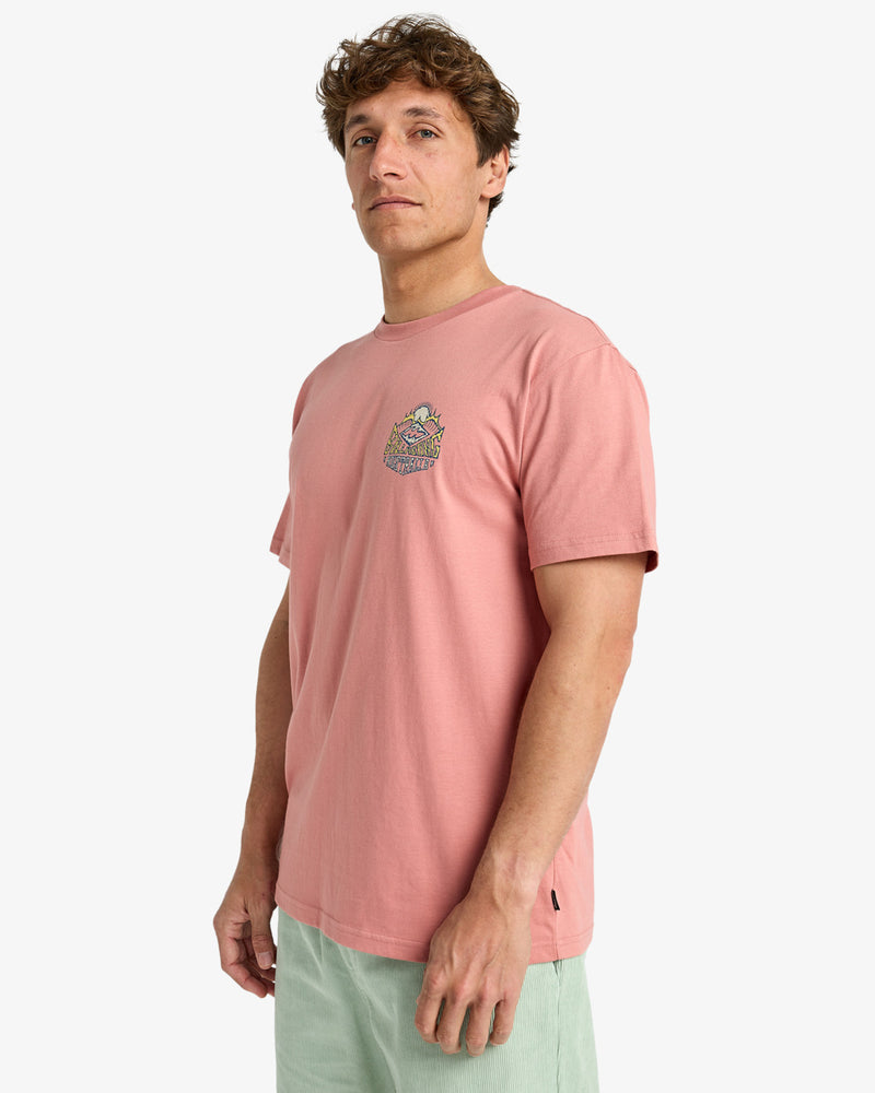 Load image into Gallery viewer, Billabong Men&#39;s Homegrown Screen Printed Short Sleeve T-Shirt Rose EBYZT00346-MKW0
