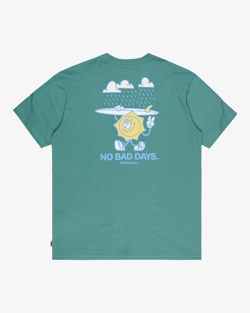 Load image into Gallery viewer, Billabong Men's Gimmicks Short Sleeve T-Shirt Sagebrush EBYZT00363-BMR0
