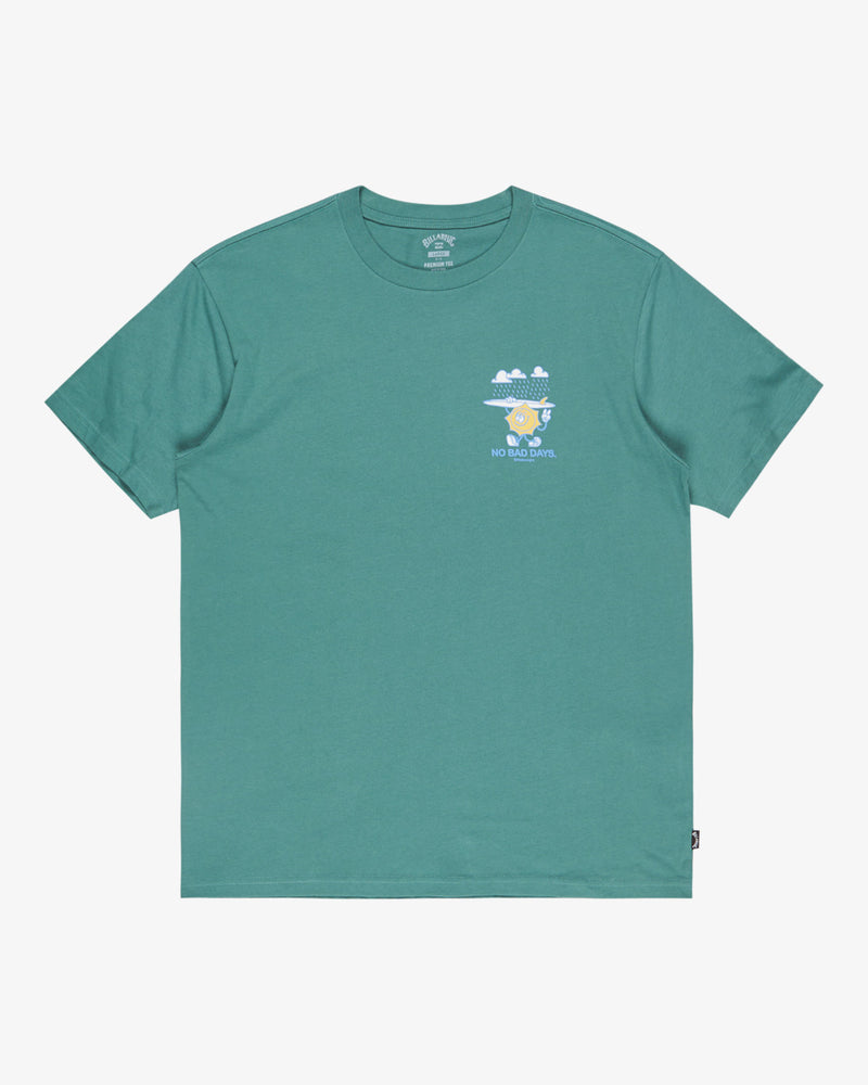 Load image into Gallery viewer, Billabong Men's Gimmicks Short Sleeve T-Shirt Sagebrush EBYZT00363-BMR0
