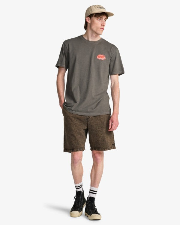 Load image into Gallery viewer, Billabong Men's Burn Out T-Shirt Pewter EBYZT00505-PEW
