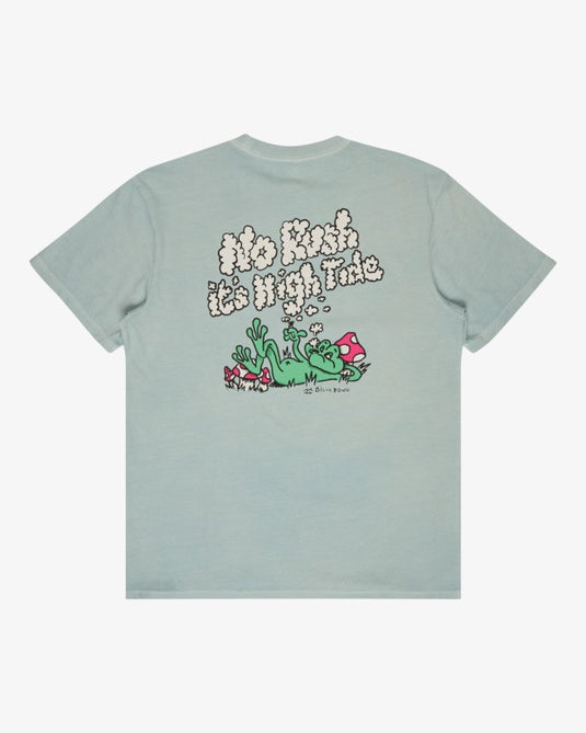 Billabong Men's Message T-Shirt Dusty Blue EBYZT00528-BFW0