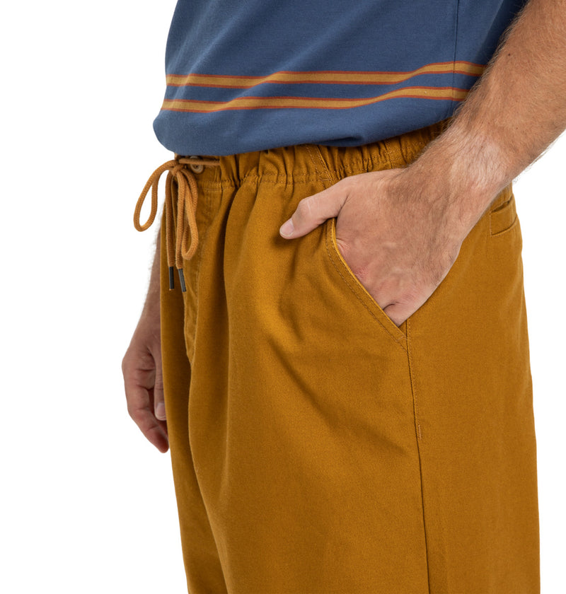 Load image into Gallery viewer, DC Men&#39;s Framed Elasticated Waist Pants Golden Brown EDYNP03169-CPD0
