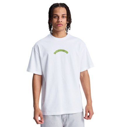 Load image into Gallery viewer, DC Men's Couch Chilling T-Shirt White EDYZT04435-WHT
