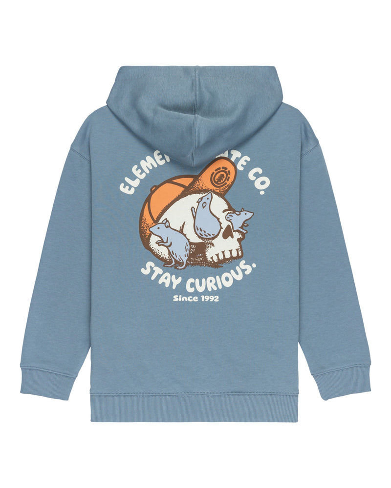 Load image into Gallery viewer, Element Kid&#39;s Curious Po Y Hoodie (8-16) Blue Mirage ELBSF00201_BMK0
