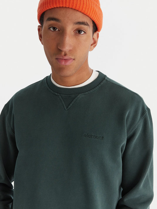 Element Men's Lowcase Pigment Magical Forest ELYFT00172-BTG0