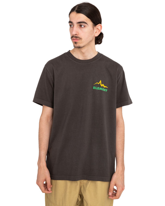 Element Men's Sounds Of The Mountains Relax Fit T-shirt Off Black ELYZT00366-KTA0