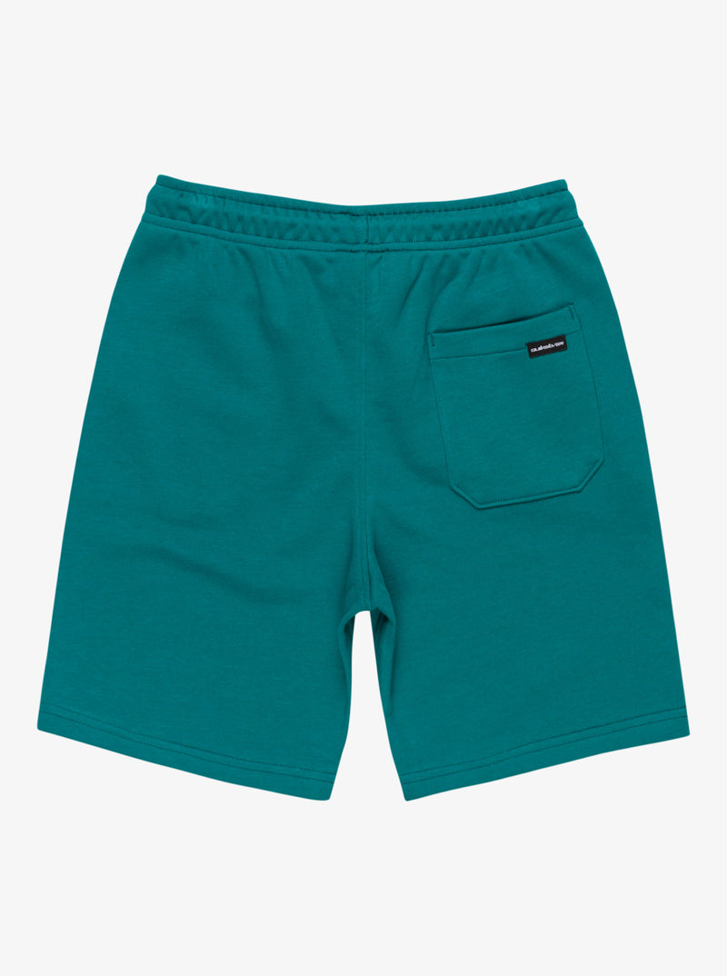 Load image into Gallery viewer, Quiksilver Kid&#39;s Easy Day Elastic Waist Shorts (8-16) Teal Green EQBFB03174-BSJ0
