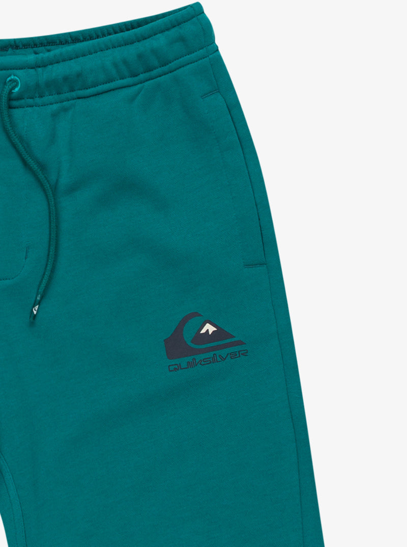 Load image into Gallery viewer, Quiksilver Kid&#39;s Easy Day Elastic Waist Shorts (8-16) Teal Green EQBFB03174-BSJ0
