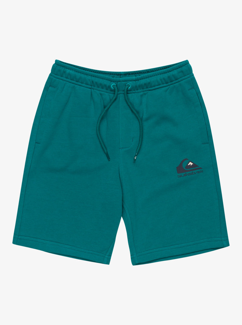 Load image into Gallery viewer, Quiksilver Kid&#39;s Easy Day Elastic Waist Shorts (8-16) Teal Green EQBFB03174-BSJ0
