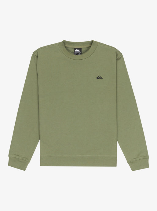 Quiksilver Kid's Basic Crewneck Fleece (8-16) Four Leaf Clover EQBFT03891_GPH0