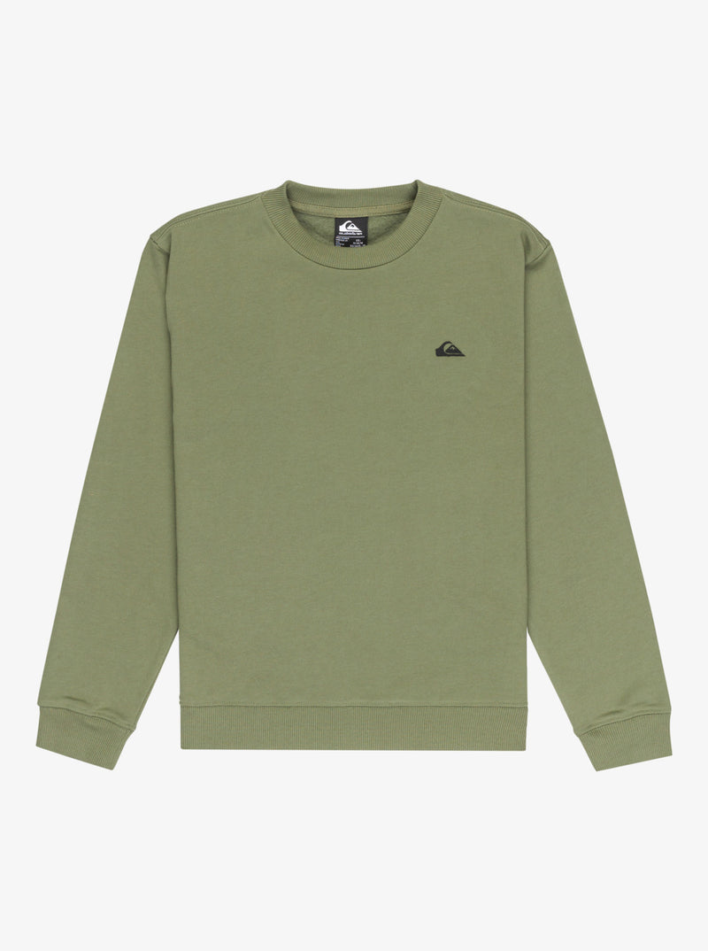 Load image into Gallery viewer, Quiksilver Kid&#39;s Basic Crewneck Fleece (8-16) Four Leaf Clover EQBFT03891_GPH0
