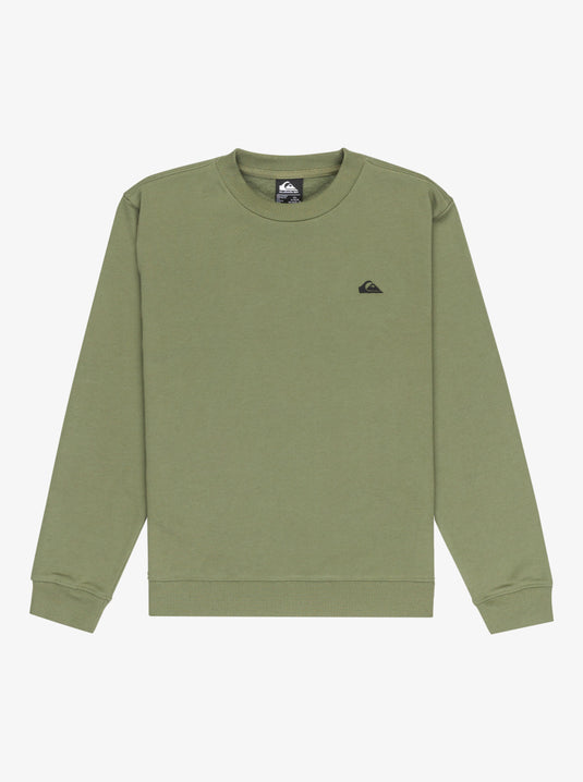 Quiksilver Kid's Basic Crewneck Fleece (8-16) Four Leaf Clover EQBFT03891_GPH0