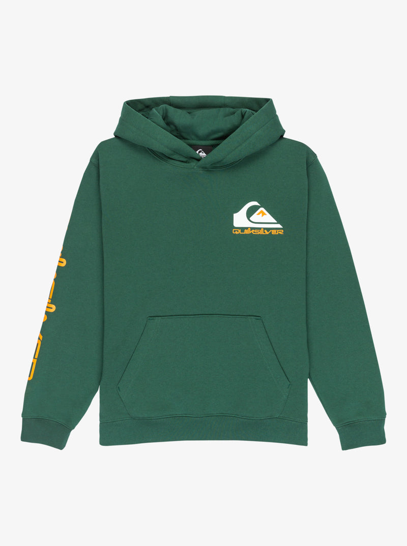 Load image into Gallery viewer, Quiksilver Kid&#39;s Omni Logo Hoodie (8-16) Trekking Green EQBFT03951_TKR
