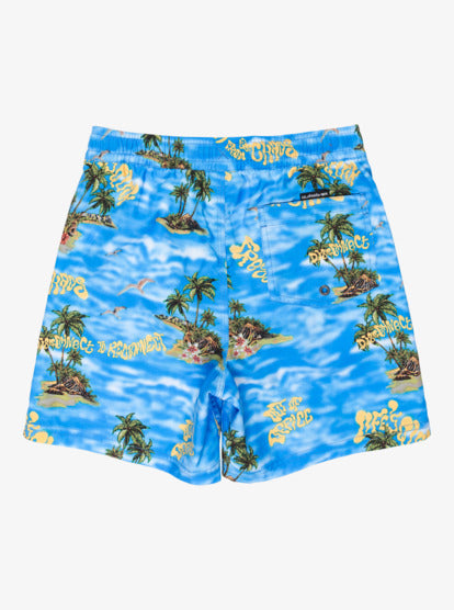 Quiksilver Kids' Everyday Straight Volley Youth 14