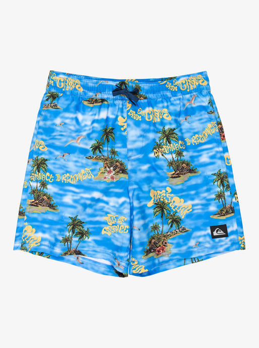 Quiksilver Kids' Everyday Straight Volley Youth 14