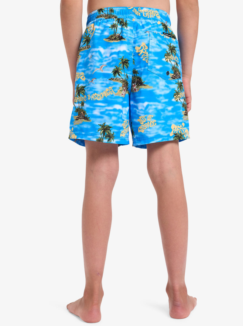 Load image into Gallery viewer, Quiksilver Kids&#39; Everyday Straight Volley Youth 14&quot; Board Shorts (8-16 Years) Coronet Blue Naturama EQBJV03501_BLQ6
