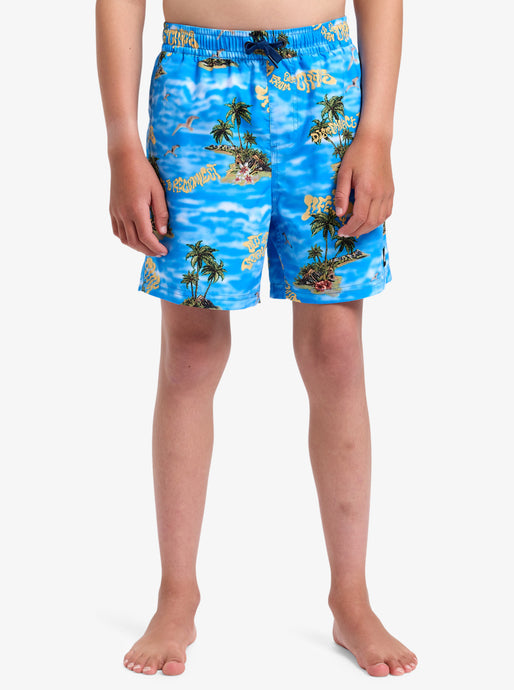 Quiksilver Kids' Everyday Straight Volley Youth 14