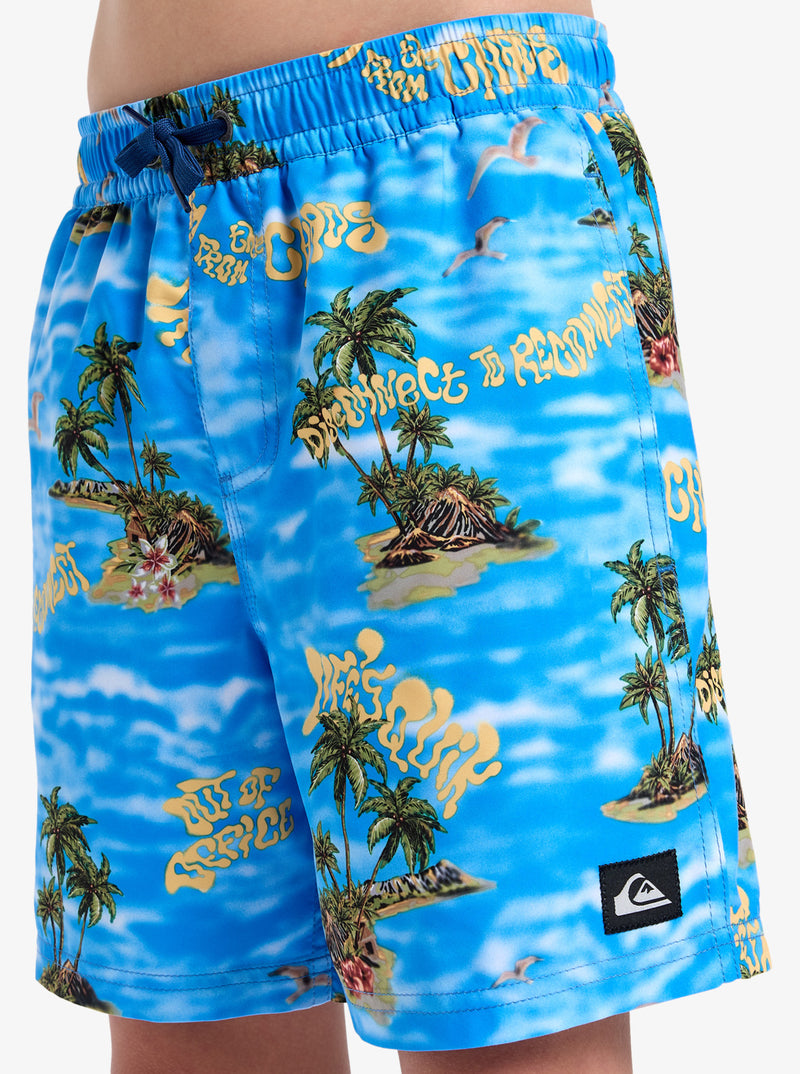 Load image into Gallery viewer, Quiksilver Kids&#39; Everyday Straight Volley Youth 14&quot; Board Shorts (8-16 Years) Coronet Blue Naturama EQBJV03501_BLQ6
