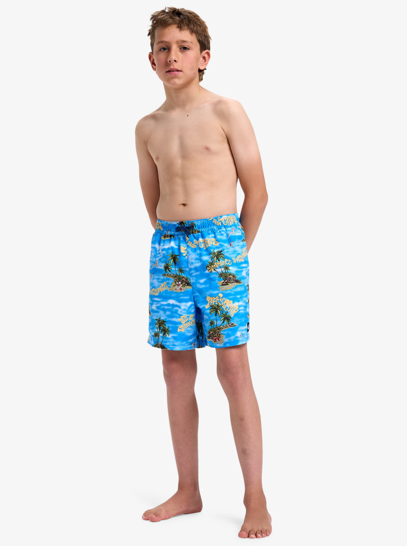 Load image into Gallery viewer, Quiksilver Kids&#39; Everyday Straight Volley Youth 14&quot; Board Shorts (8-16 Years) Coronet Blue Naturama EQBJV03501_BLQ6
